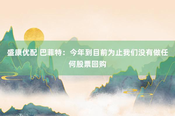 盛康优配 巴菲特：今年到目前为止我们没有做任何股票回购