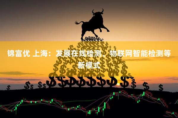 锦富优 上海：发展在线检测、物联网智能检测等新模式